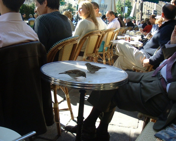 1er jour de Paris パリのホームステイ生活 1999.9 より