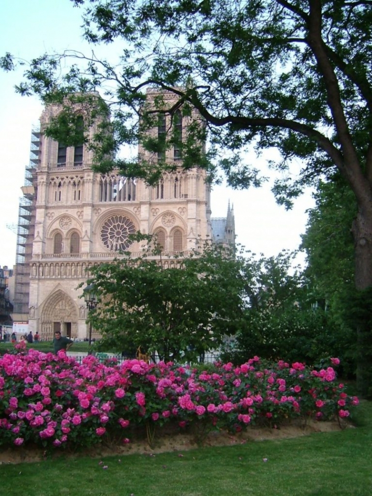 特別な場所　Notre-Dame ノートルダム大聖堂（２００４～２００８）