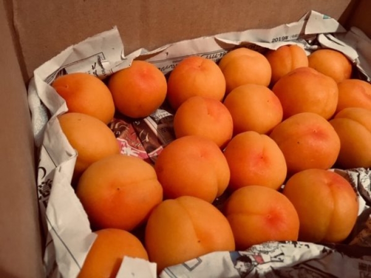 レシピ♪美味しすぎてファンになったConfiture d’abricots♪