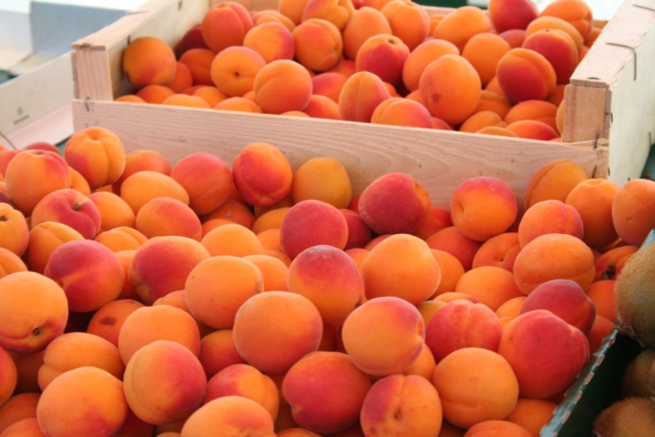 レシピ♪美味しすぎてファンになったConfiture d’abricots♪ おまけエピソード
