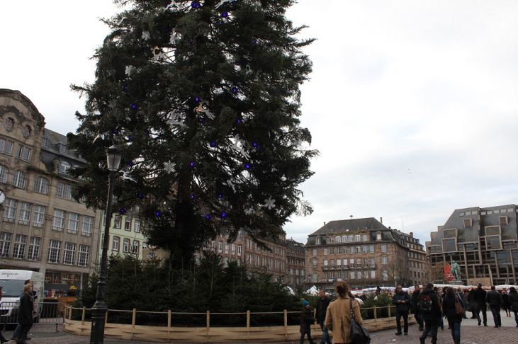 フランス　ストラスブール【Grand Sapin 巨大クリスマスツリー】