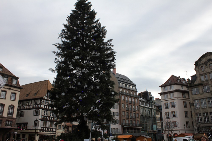 フランス　ストラスブール【Grand Sapin 巨大クリスマスツリー】