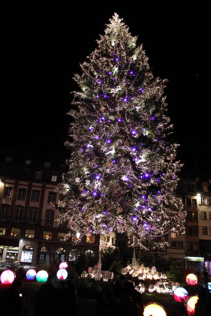 フランス　ストラスブール【Grand Sapin 巨大クリスマスツリー】
