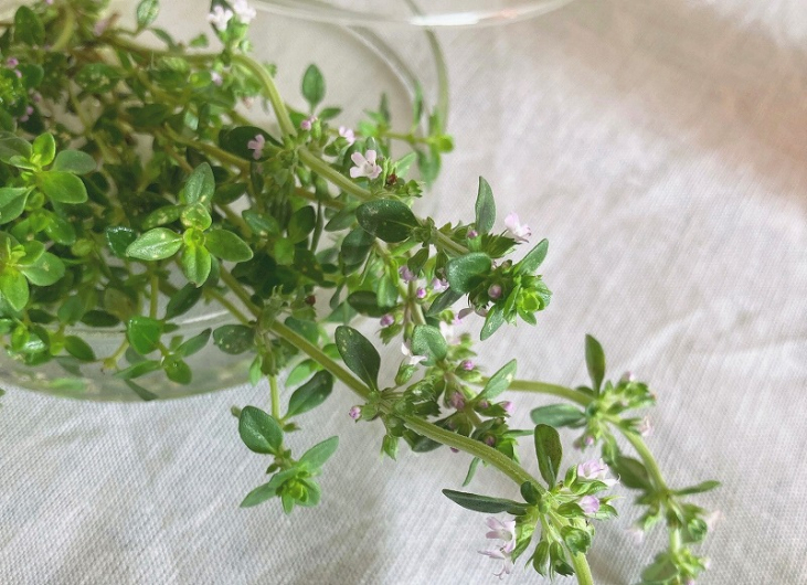 今月のMiel "タム(タイムの花)"はちみつ