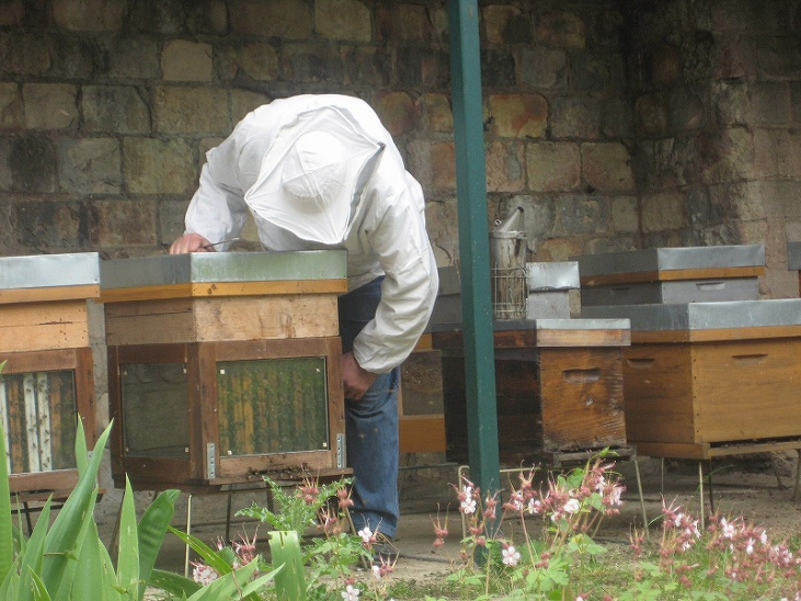 【ハチミツ】Les Abeilles レザベイユの Miel＜ハチミツ＞　自然からの贈り物