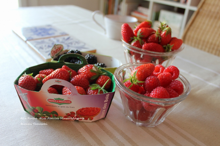 Framboise フランボワーズ