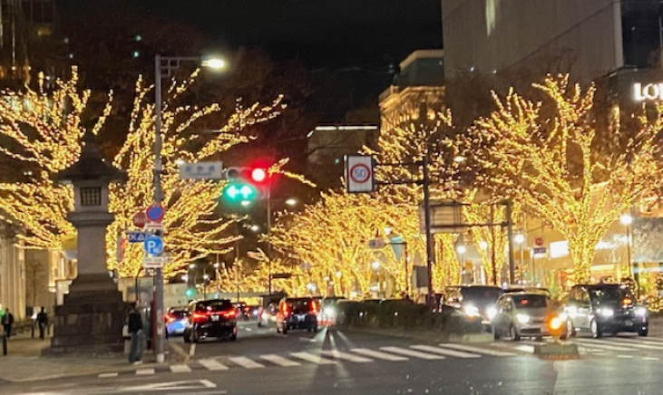 今月のMiel " サパン（もみの木）” ハチミツ