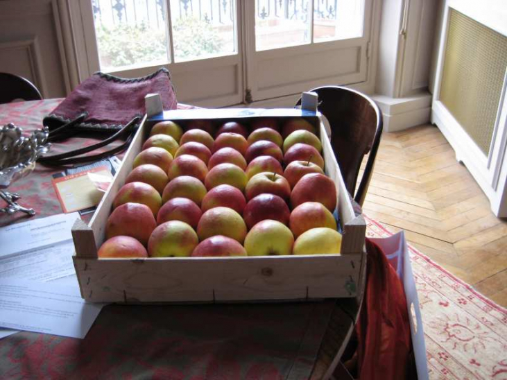 【ハチミツ】「レザベイユ・ショコラ」のはじまり（前編）～誕生するまでの背景～