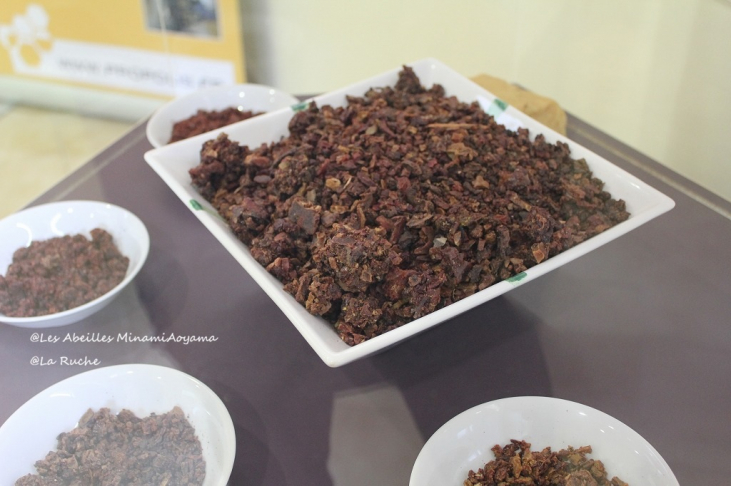 今週のレザベイユ南青山｜プロポリス