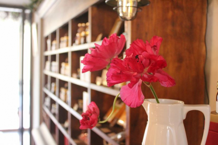 季節のおすすめとお知らせ