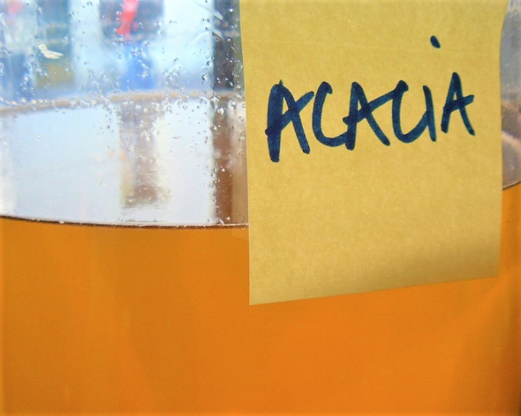 季節のおすすめとお知らせ