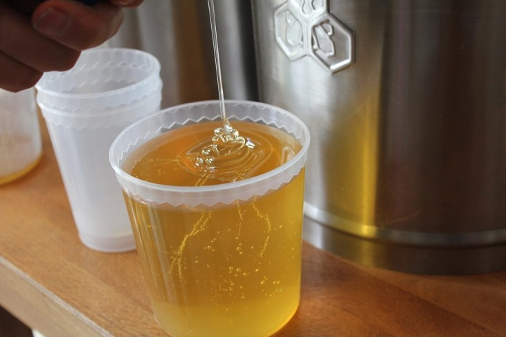 季節のおすすめとお知らせ