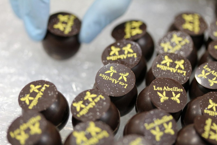 季節のおすすめとお知らせ