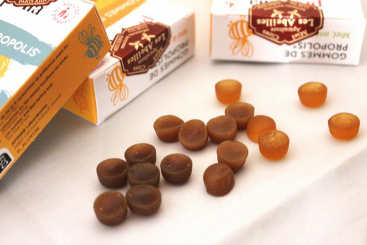 季節のおすすめとお知らせ