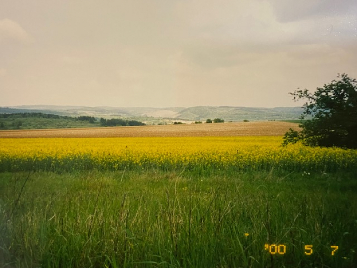 ブルゴーニュのピクニック フランスの暮らしと週末の楽しみ