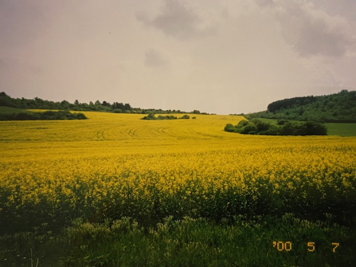 ブルゴーニュのピクニック フランスの暮らしと週末の楽しみ