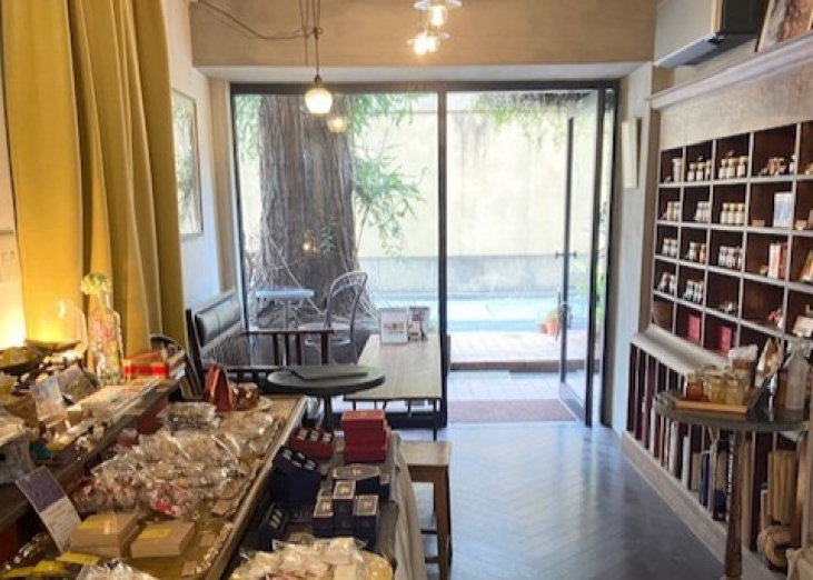 春の光と新しい季節の訪れ