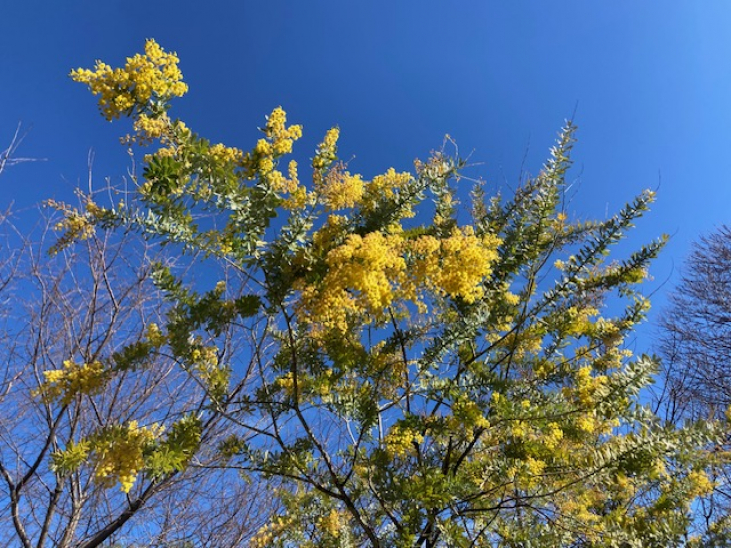 春の光と新しい季節の訪れ