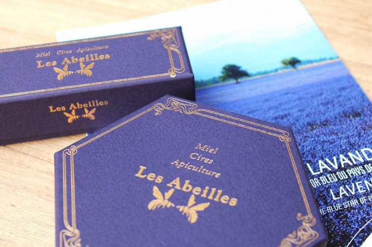 春の光と新しい季節の訪れ