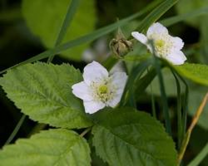 春の光と新しい季節の訪れ