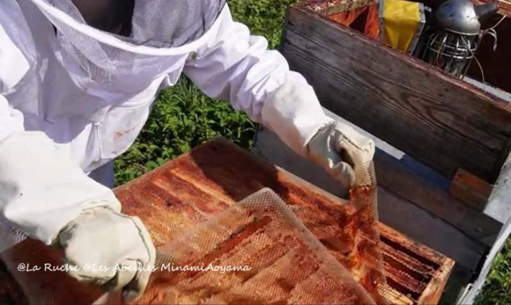 【プロポリス】【BIO】プロポリス 口腔スプレー（ミント）20ml 　M.P.Bio 2021受賞　( Propolia プロポリア）