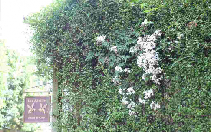 ～４月のレザベイユ南青山　～　5/1までのスズランラッピング＆絶賛ヌガーアイス