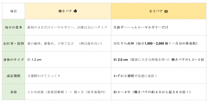 【アピセラピー】ローヤルゼリーとは？