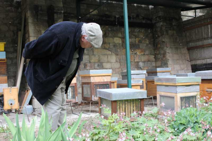 【ミツバチ】知っておきたい！ミツバチが嫌い・苦手なこと