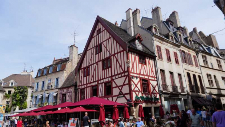 【フランス養蜂体験記①】ディジョン到着！憧れのブルゾンとXXLサイズの洗礼