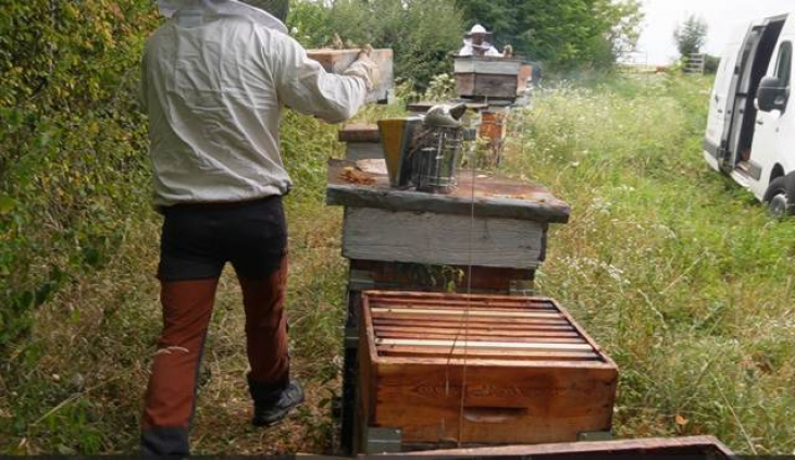 【フランス養蜂体験記⑤・前編】プロの道具！燻煙器（アンフュモワール）と素敵なムッシューたち