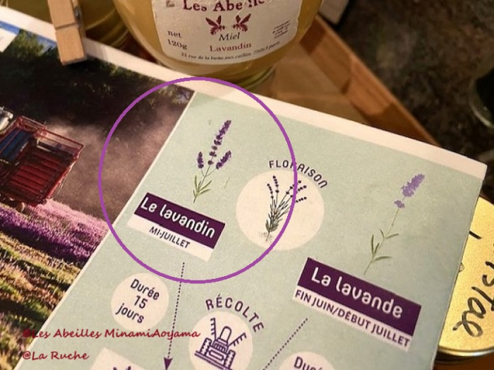 *入荷待ち*ミエル ラヴァンダン(ラベンダーの花)120g 純粋はちみつ(限定商品)
