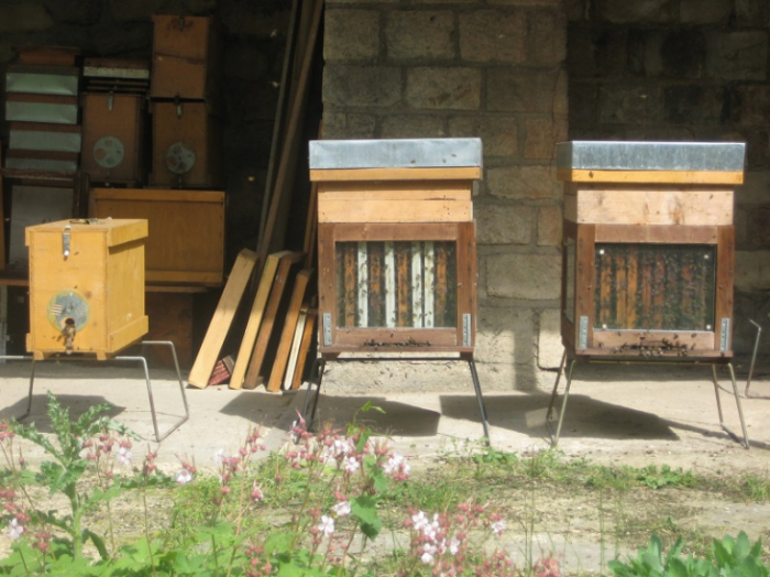 ＊満員御礼＊第12回「個性豊かなLe Miel (ミエル) ハチミツを知る・味わう」en Zoom izumi & Lett