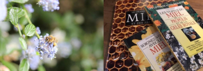 ＊満員御礼＊第13回「Le Miel(ミエル)ハチミツのある暮らしと健康・アピセラピーとは？」en Zoom izumi