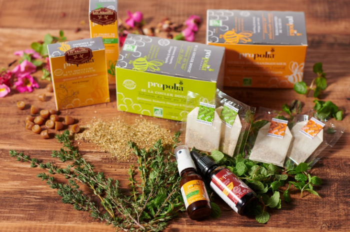 ＊満員御礼＊第13回「Le Miel(ミエル)ハチミツのある暮らしと健康・アピセラピーとは？」en Zoom izumi