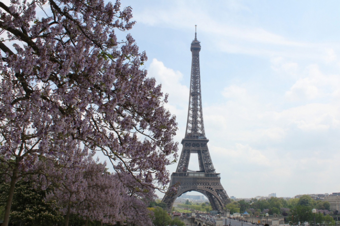 ＊満員御礼＊第14回「フランス地方と食を愉しむⅠ」en Zoom Ils de France イル・ド・フランス　Paris パリ
