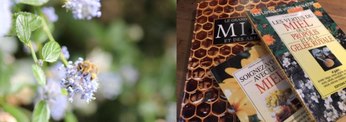 ＊満員御礼＊第36回テーマ「ミツバチの生産物　～健康・アピセラピー～ 」